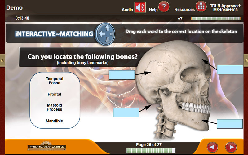 Online massage theory course slide — Anatomy and Physiology
